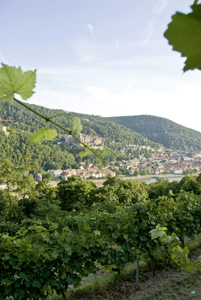 Badische Bergstrasse vinområde
