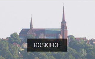 Vin Roskilde