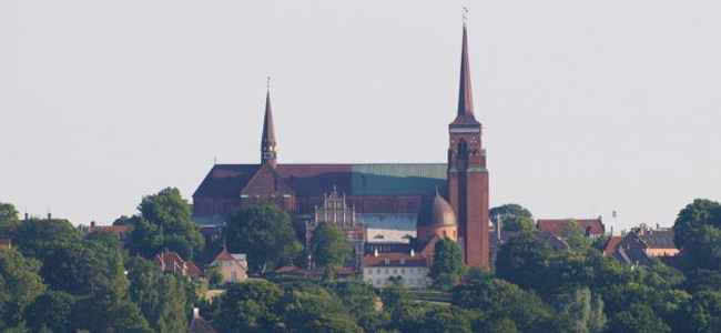 Badenvin i Roskilde Vinbutikken.dk